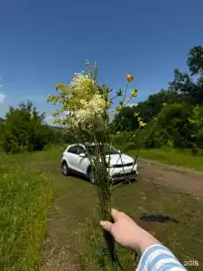 Кемпинг у Волги Лиман - 131