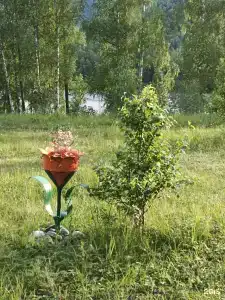 Огонёк - 37