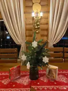 Салма - 8