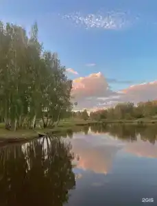 Лес & Озеро - 6