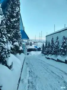 Спартак - 8