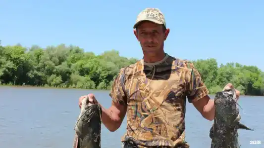 Зюйд-вест - 182