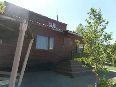 Василёк - 53
