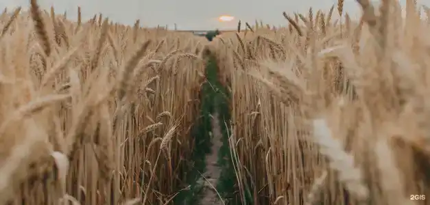 Вилла Доминанта - 5