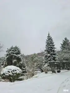 Магадан - 18