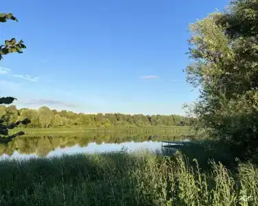 Усадьба Ольшаное - 22
