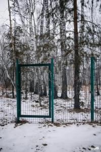 Загородный дом в окружении леса - 57