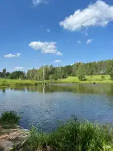 Лес & Озеро - 10