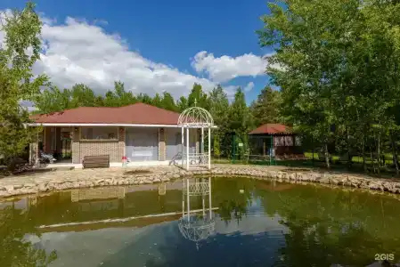 Лесная поляна - 4