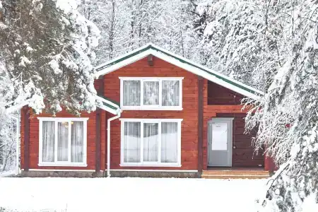 Вековые Сосны - 20