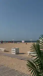 Гармония - 10