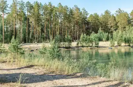Хвойный берег - 15