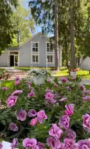 Vyritsa Village - 17