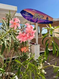 Глэмпинг Alfa Глэмпинг - 70