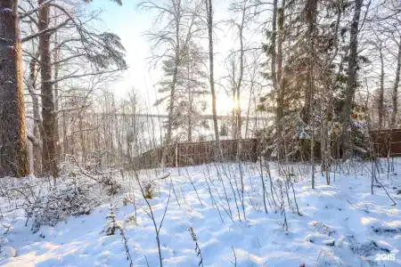 Рассвет - 15