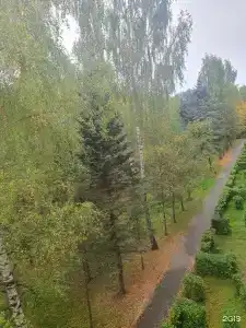 Углич - 28