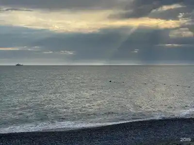 Анжелика Альбатрос - 38