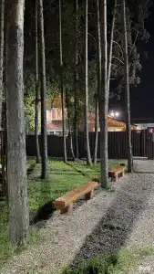 Буревестник - 13