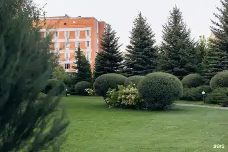 Для Вас - 25