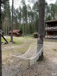 Сосновый Берег - 117