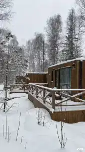 Снежные гуси - 20