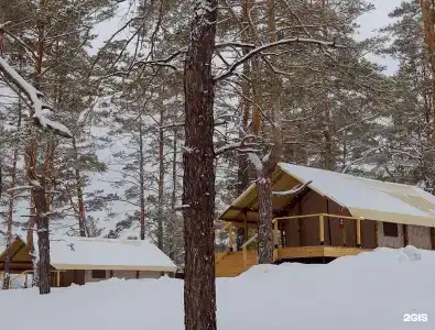 Маламут Ленд - 34