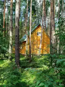 Снежок - 15