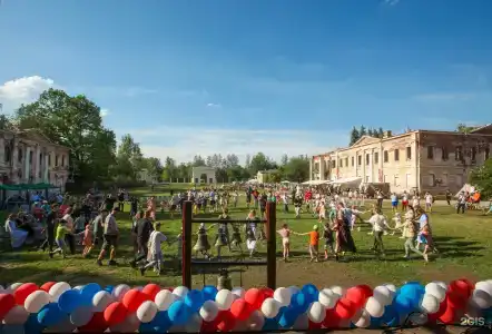 Усадьба Гребнево - 108