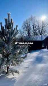 Лес & Озеро - 23