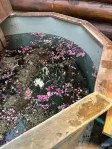 Вудхаус - 32
