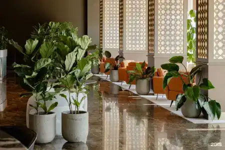 Miracleon Dusit Thani Resort & SPA Anapa - 42