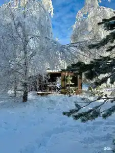 Клюква - 13
