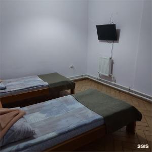 Koral - 16