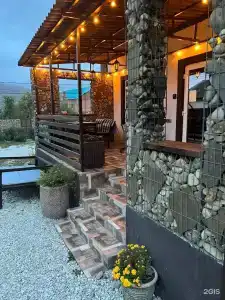 Кипарис - 50