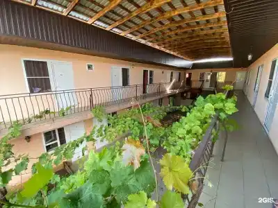 Барракуда - 6