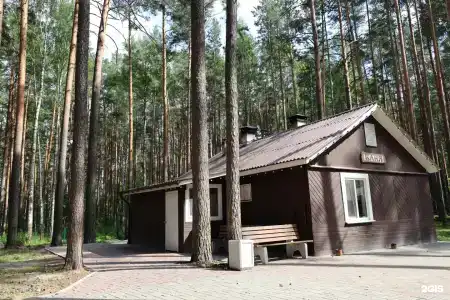 ДухЛес - 27