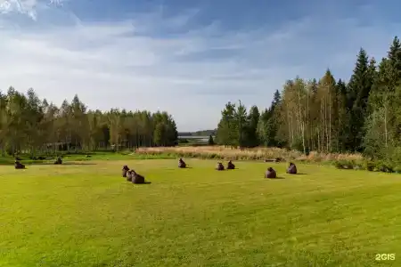 Нешалаши - 46