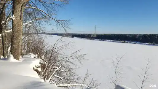 Углич - 42