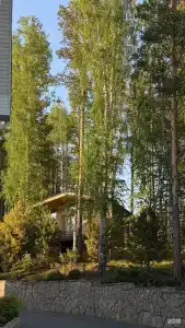 Талес - 61