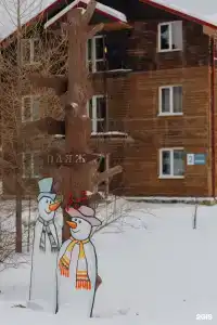 Аракуль - 59
