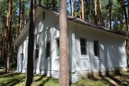 ДухЛес - 55