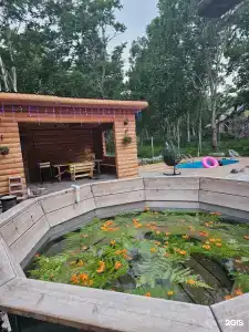 Тотем - 13