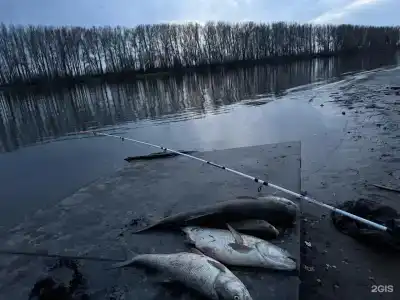 Рыбаградъ - 142