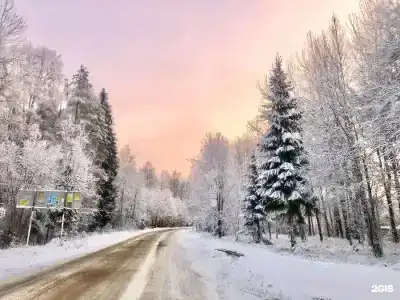 Журавушка - 23