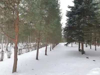 Углич - 128
