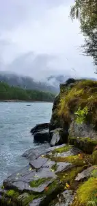 Алтай для Отдыха - 55