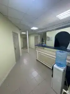 Два Льва - 1
