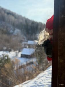Домик для вдохновения и уединения - 15