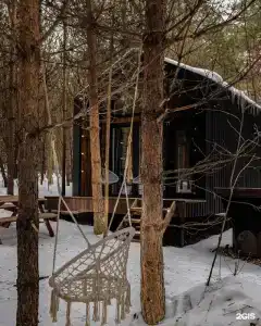 Сосны. Пространствие - 40