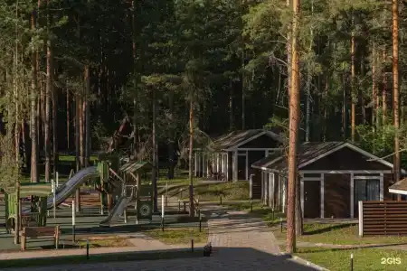 Клевер - 24